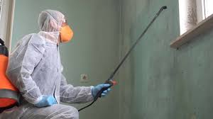 Best Emergency Mold Remediation  in Central Park, WA